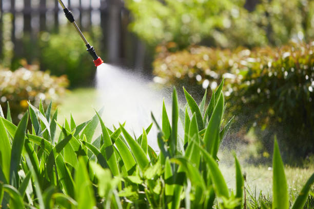 24/7 Emergency Mosquito Control experts in Maple Valley, WA