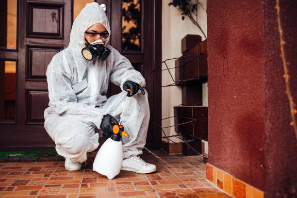 Reliable Mosquito Control contractor in Maple Valley, WA by Show Me Pest Control